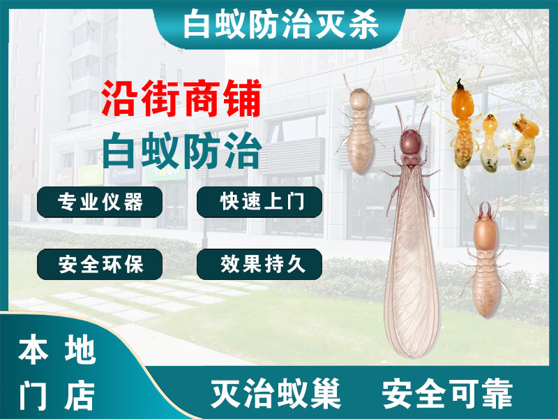 安吉沿街商铺白蚁防治