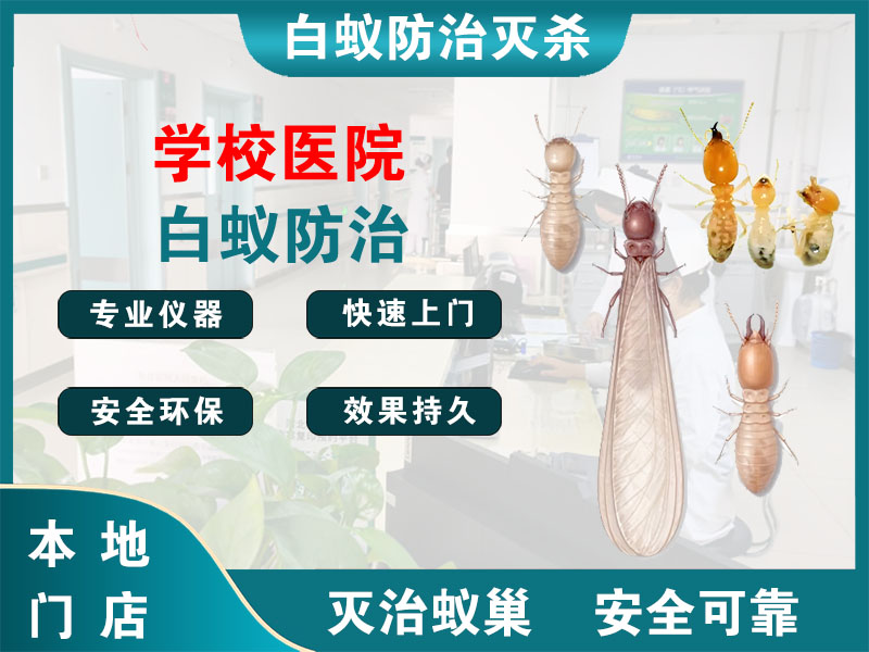 安吉学校医院白蚁防治