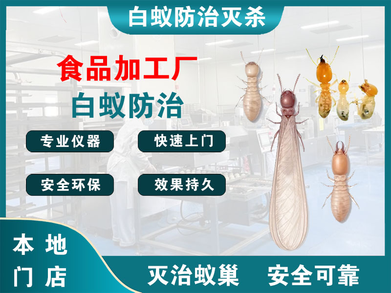 安吉食品加工厂白蚁防治