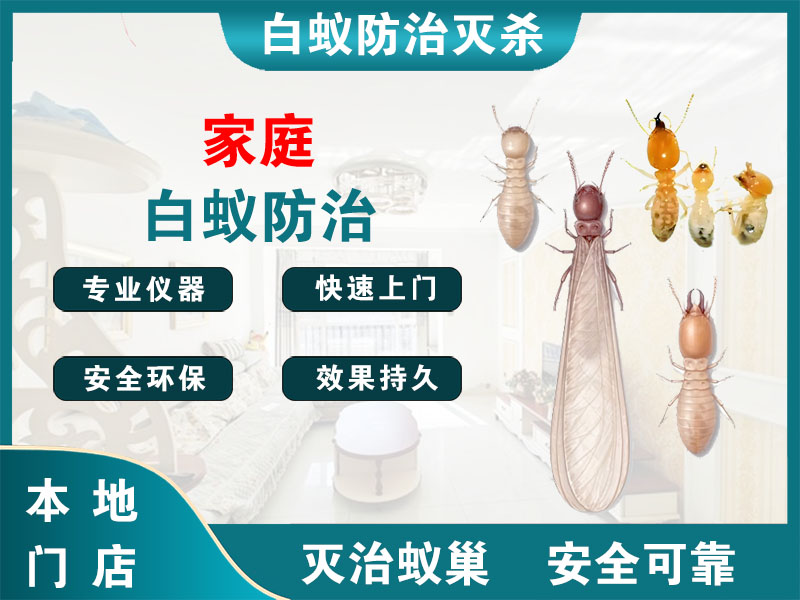 安吉家庭白蚁防治