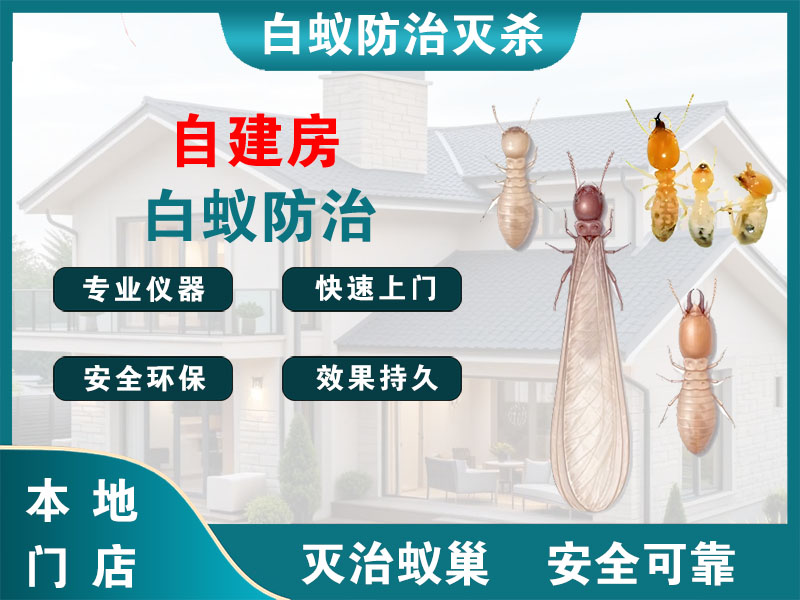 安吉自建房白蚁防治