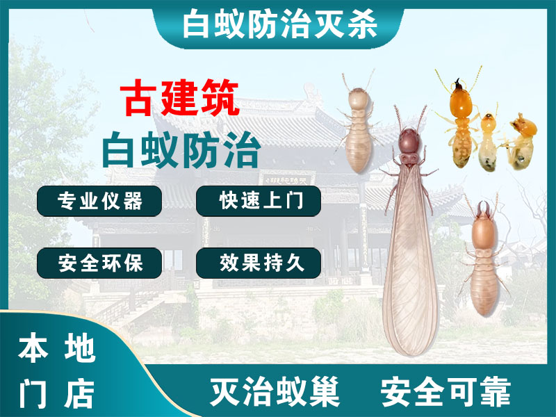 安吉古建筑白蚁防治