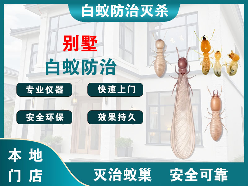 安吉别墅白蚁防治